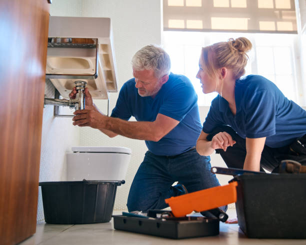 Best Commercial Plumbing Services  in Greendale, IN